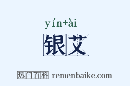 银艾是什么意思的图片